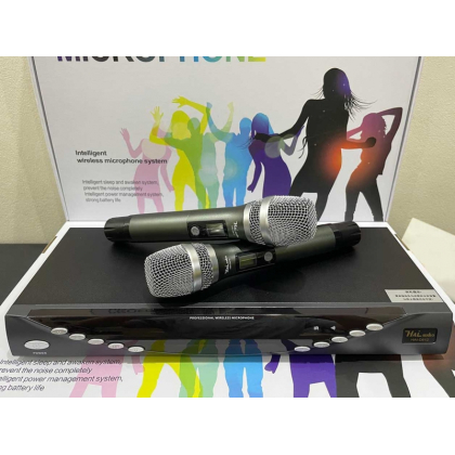 Bộ Microphone không dây Haiaudio HAI-D812
